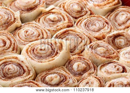 Cinnamon rolls