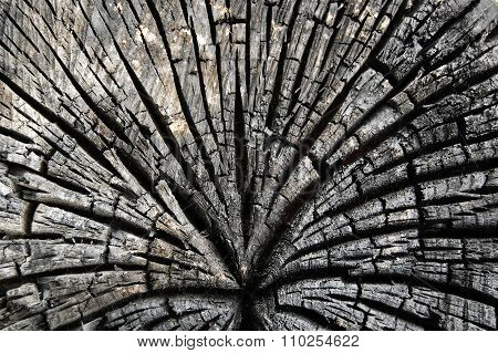 Abstract burn wood background