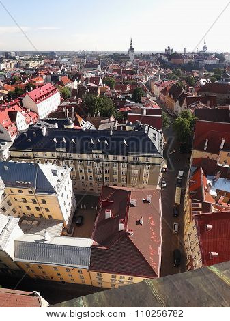 Roofs of Tallinn