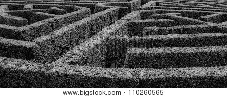 Labyrinth-2 Black And White