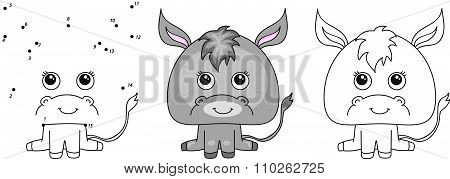Funny And Cute Donkey