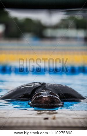 Freediving Performer doing Static Apnea in a Pool (STA)