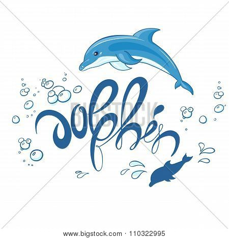 vector hand drawn printable lettering illustration with jumping dolphin, bubbles and splash. Can be