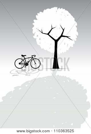Bicycle And Tree, Light And Shadow, Greyscale