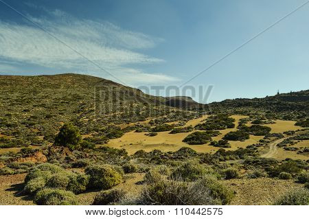 El Teide, national park (Volcano, Tenerife)
