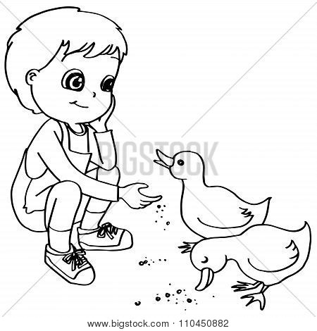 Coloring book  child feeding chicken vector