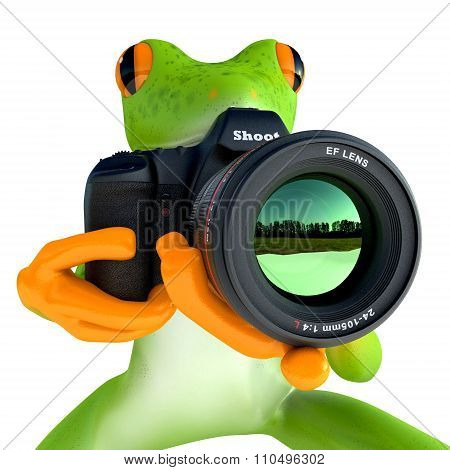 Rain frog photographs