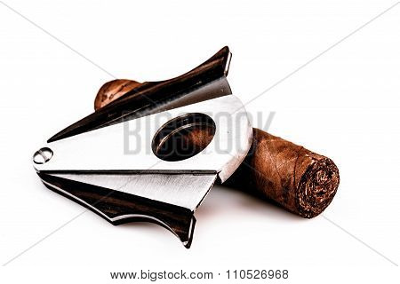 Expensive cigar and cutter on a white background