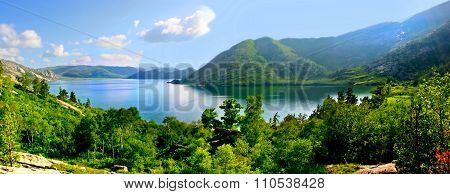 Paradise Landscape