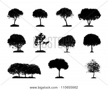 Tree Silhouette Isolated on White Backgorund. Vecrtor Illustrati