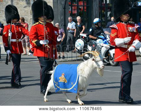 Parade of soldier
