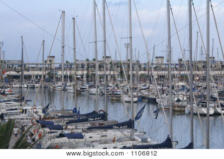 Marina