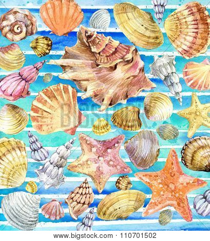 Watercolor Seashell. Image & Photo (Free Trial) | Bigstock