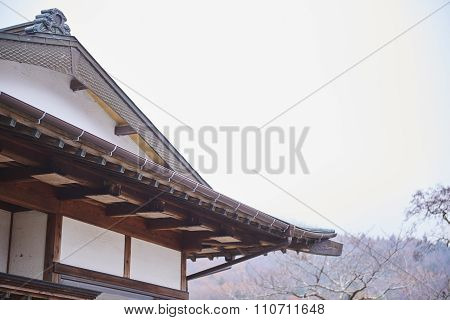 Autumn In Japan