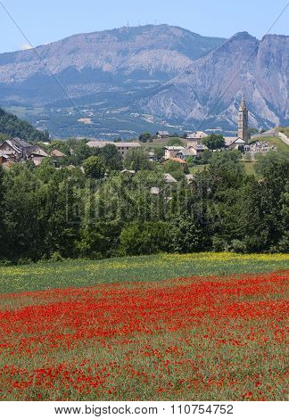La Breole (haute Provence)