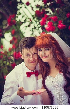 Portrait newlyweds among the blooming roses.