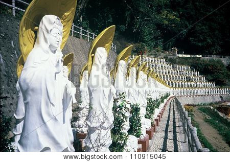 Rows of Buddhist Sculptures
