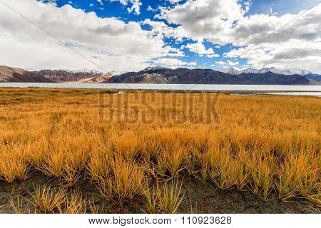 Beautiful landscape at Ladakh province, north India