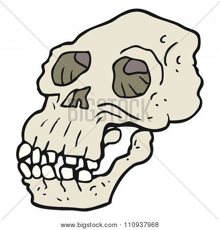 freehand drawn cartoon ancient skull