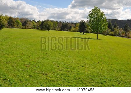 Garden lawn in an English style garden. Taken near Torrington North Devon England