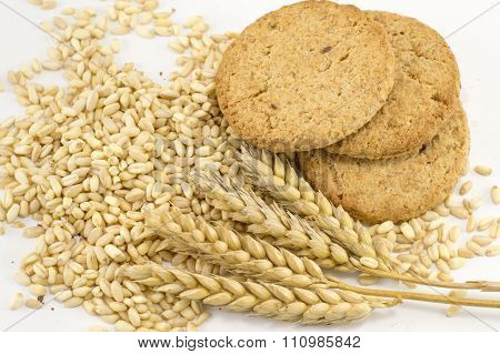 Integral Cookies And Wheat Plant On White Baclground