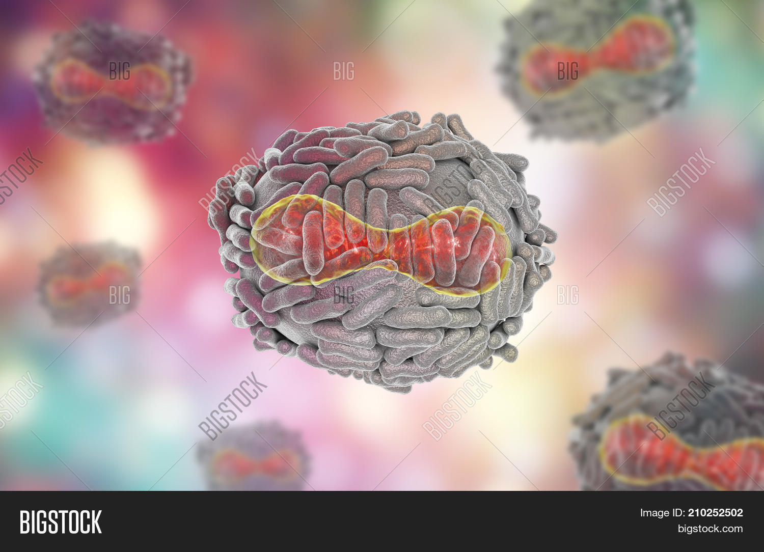 Variola Virus, Virus Image & Photo (Free Trial) | Bigstock