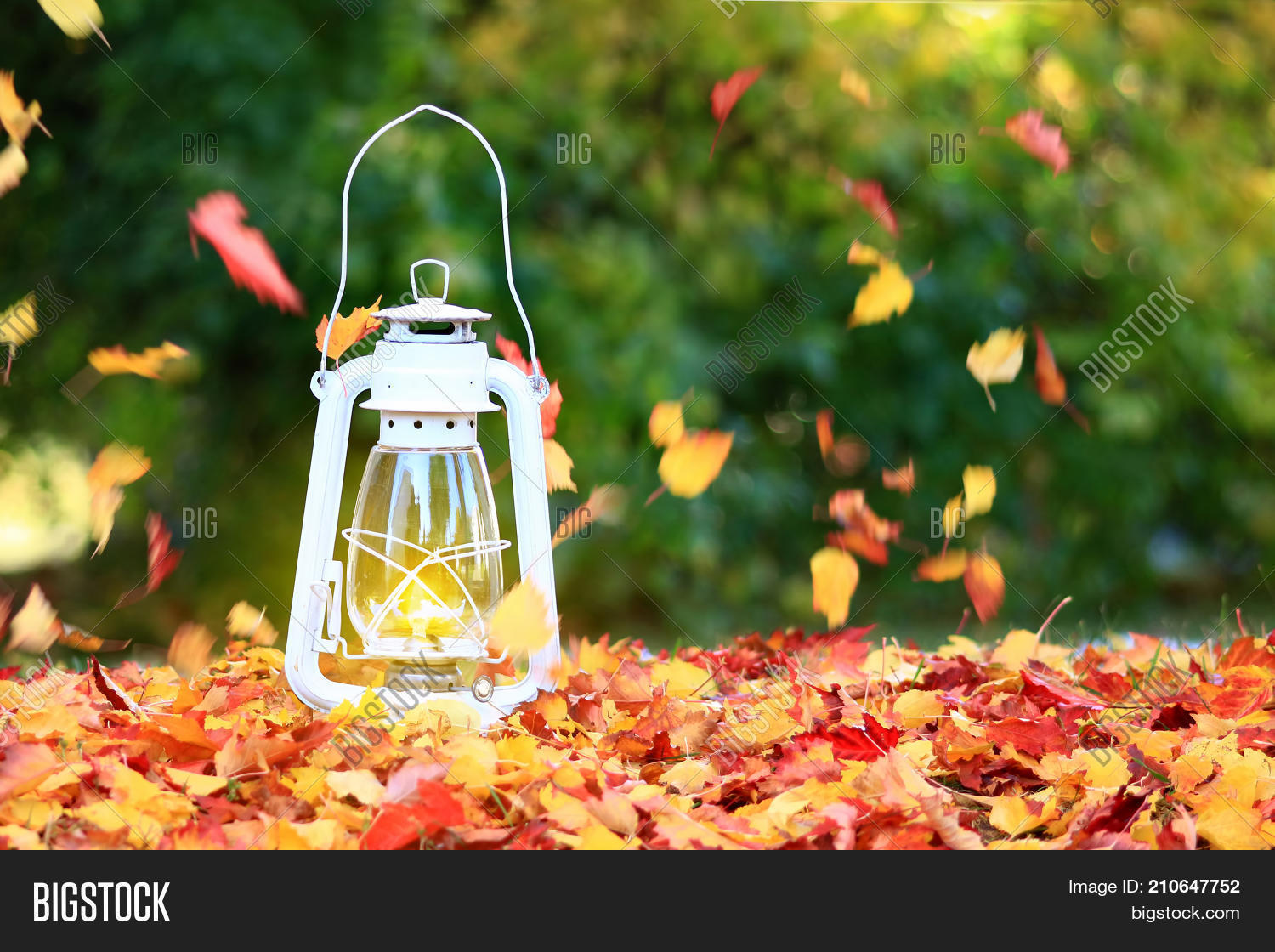 Autumn Leaves Blowing Image & Photo (Free Trial) Bigstock