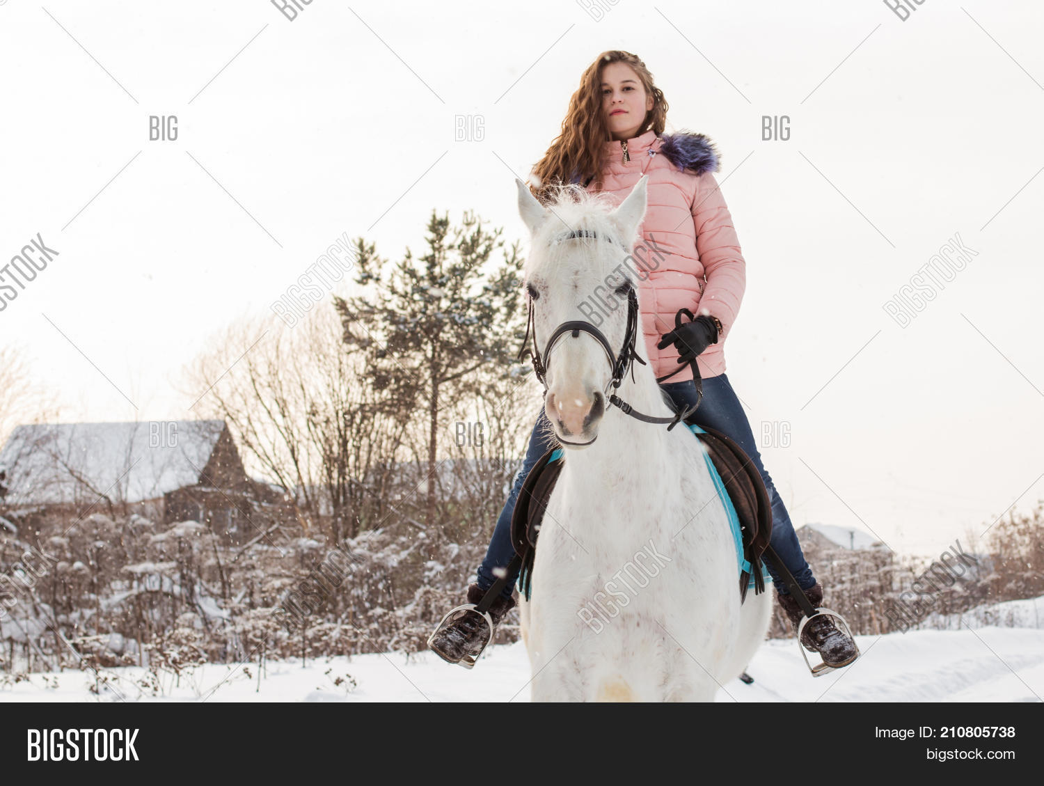 Nice Girl White Horse Image & Photo (Free Trial) Bigstock