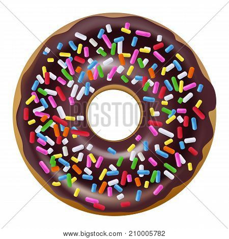 Chocolate covered with sprinkles donut, Realistic style.Vector illustration for your design.