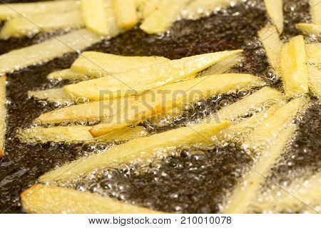 French fries fried in a pan . photo in the studio