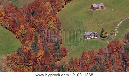 Colorful forest and green meadow with farmhouse.