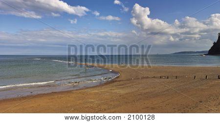 Teignmouthpan