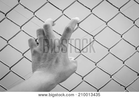 Hand holding on chain link fence for Brac For background
Black and white concept