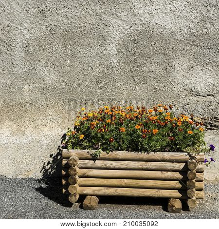 Fowerbed in the Medieval city of Les Salelles in France.