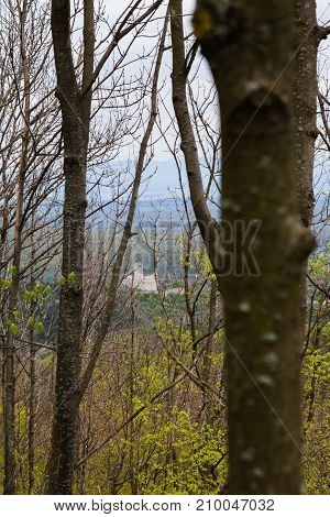 View of the castle from the nearby forest