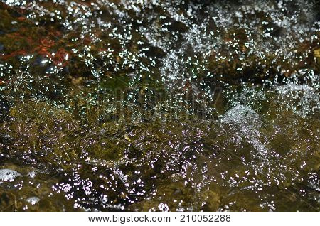 River Bottom And Water