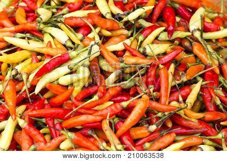 Red chili pepper wallpaper market in Indonesia