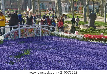 Istanbul Turkey - April 06 2016 Annual Spring Festival of Tulips new design Gulhane Park wedding also came to park. Local people and tourists are getting rest making photos and enjoy good weather and spring slice of life editorial.
