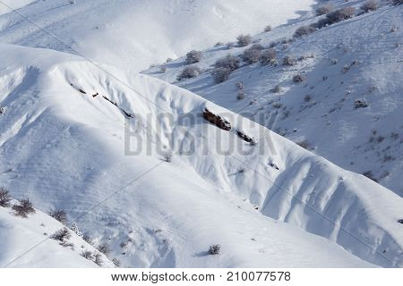 snowy slopes of the Tien Shan Mountains .