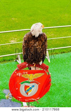 Estadio Da Luz (stadium Of Light), Home Stadium For The S.l. Benfica