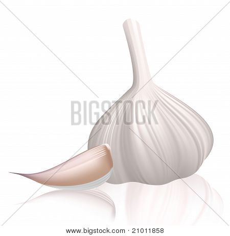 Česnek s hřebíček. Vektorové ilustrace na bílém pozadí.