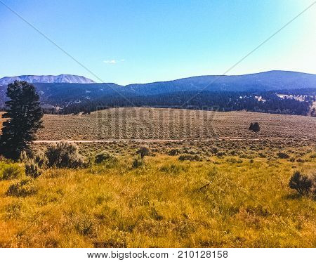 Beautiful mountain land outside of Fort Collins Colorado