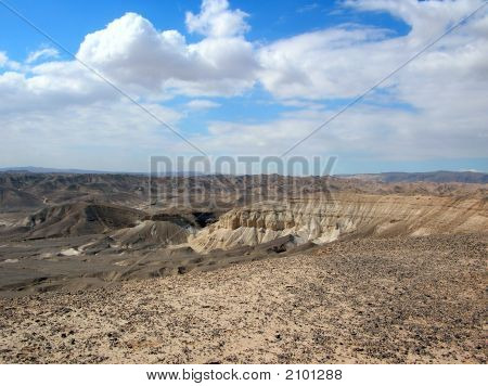 Bellezza del deserto