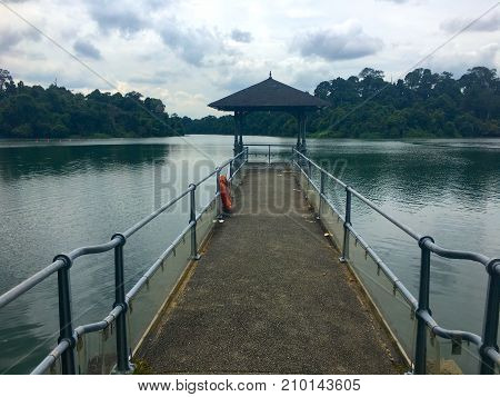 Old pier at Macritchie reservoir park Singapore