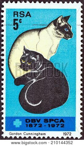SOUTH AFRICA - CIRCA 1972: A stamp printed in South Africa issued for the Centenary of Societies for the Prevention of Cruelty to Animals shows Black and Siamese Cats, circa 1972.