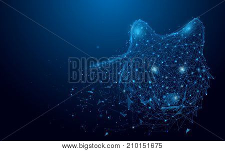 Wolf lines and triangles point connecting network on blue background. Illustration vector