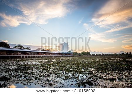 Lotus marsh and wood boat with sky background at Banglane Nakorn pathum Thailand.