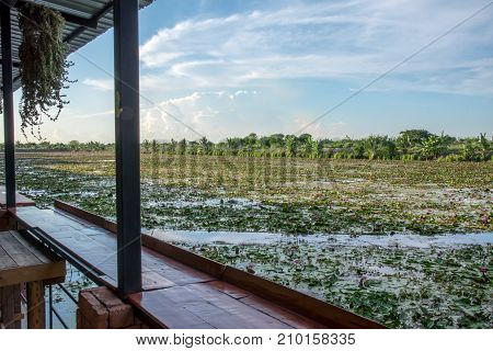 Lotus marsh and wood boat with sky background at Banglane Nakorn pathum Thailand.