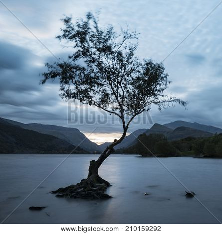 Beautiful Landscape Image Of Llyn Padarn At Sunrise In Autumn In Snowfonia National Park