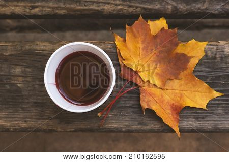 Paper cup with mulled wine on a wooden bench in the park. Maple leaves. Autumn mood